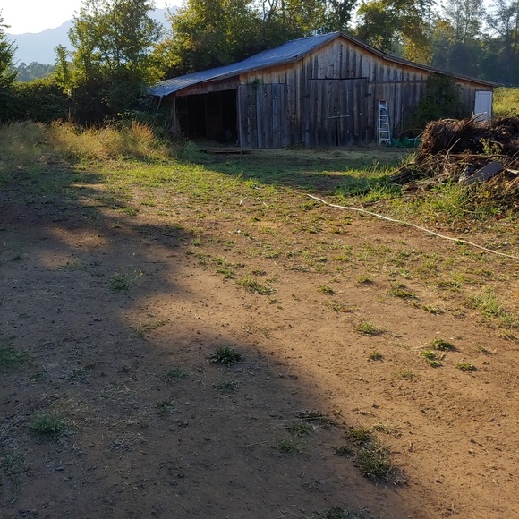 Meet your Posher, Susanna - Picture 6 of 7